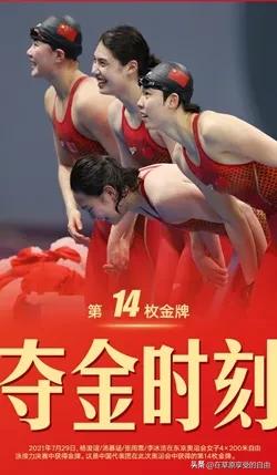 终极之夜！游泳冠军悬念即将揭晓的简单介绍