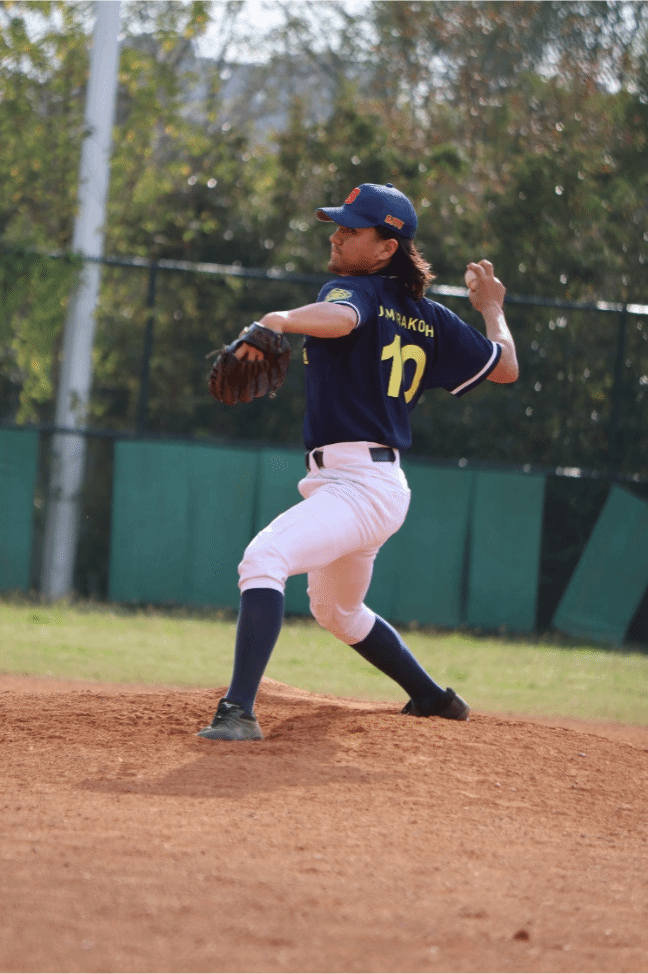 包含世界赛舞台，棒球代表国家出征荣耀的词条