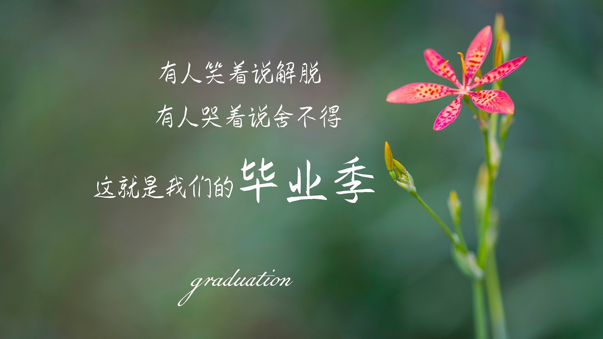 跨界的掌控者,当鹰爪撕裂篮筐,绿色闪电划破赛道