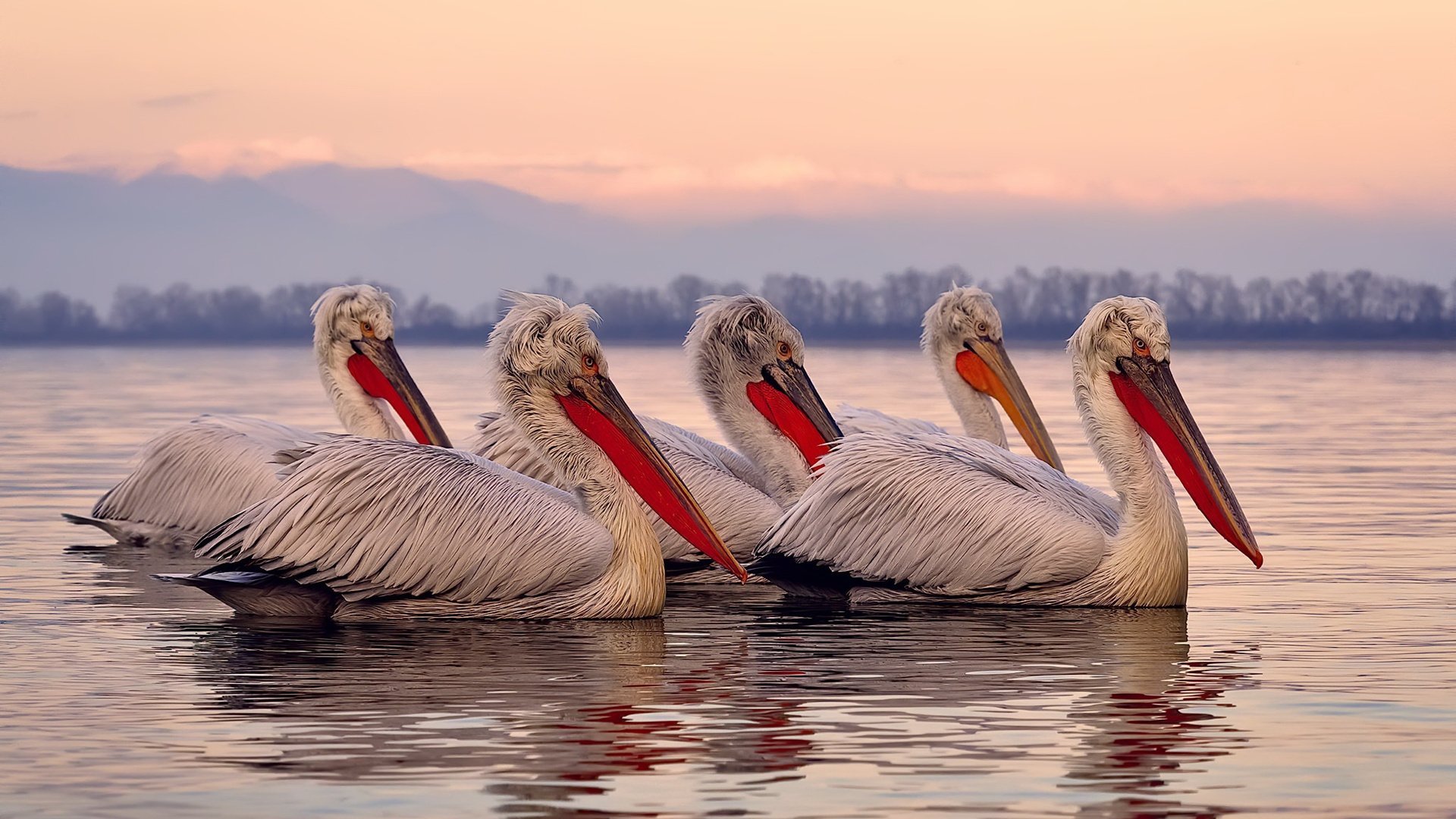 绿茵场上的地缘博弈，当福登成为国家攻防的隐喻