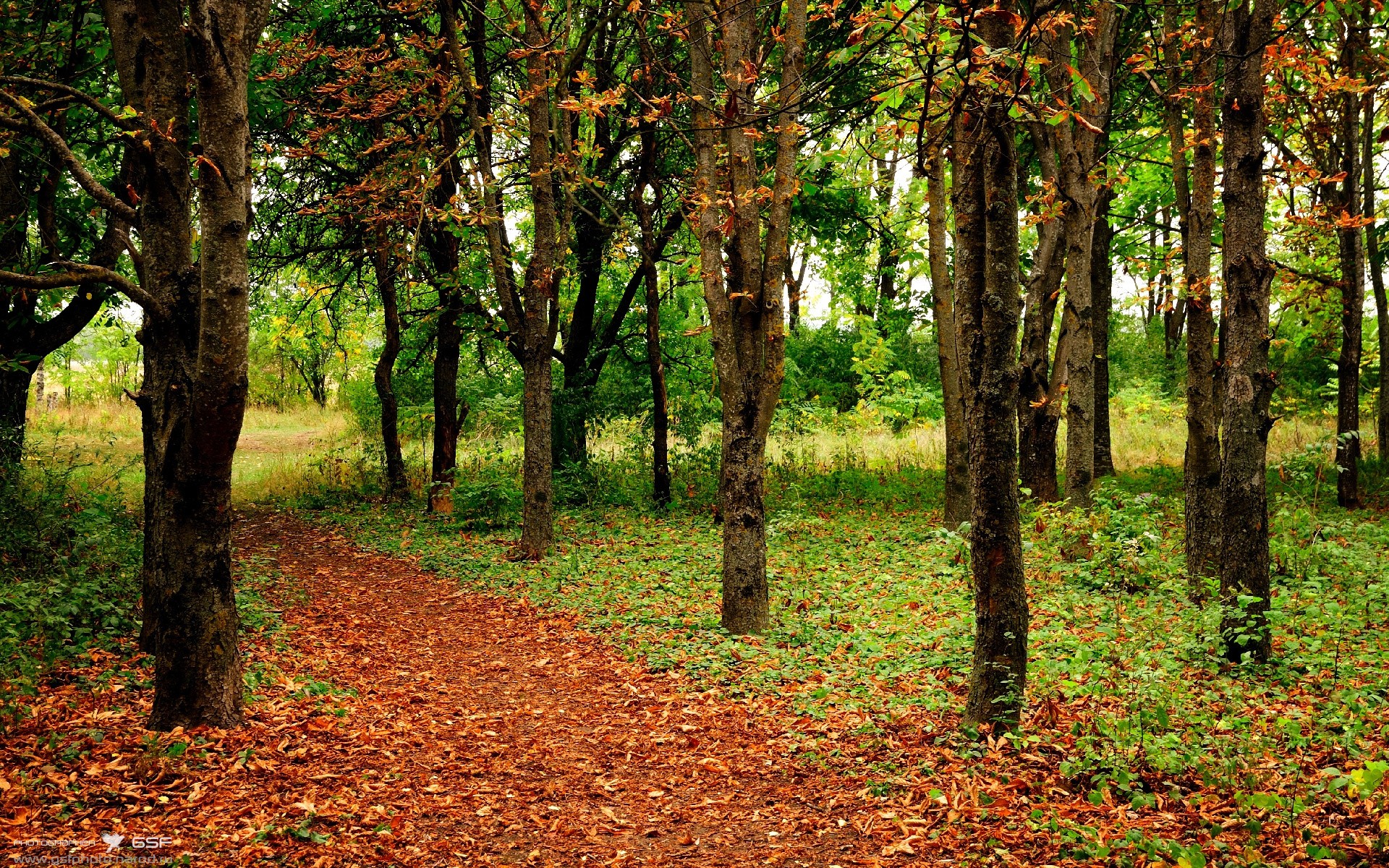 冰火之歌，比利时新生代熔断德国战车，马丁内利高能演绎未来序曲