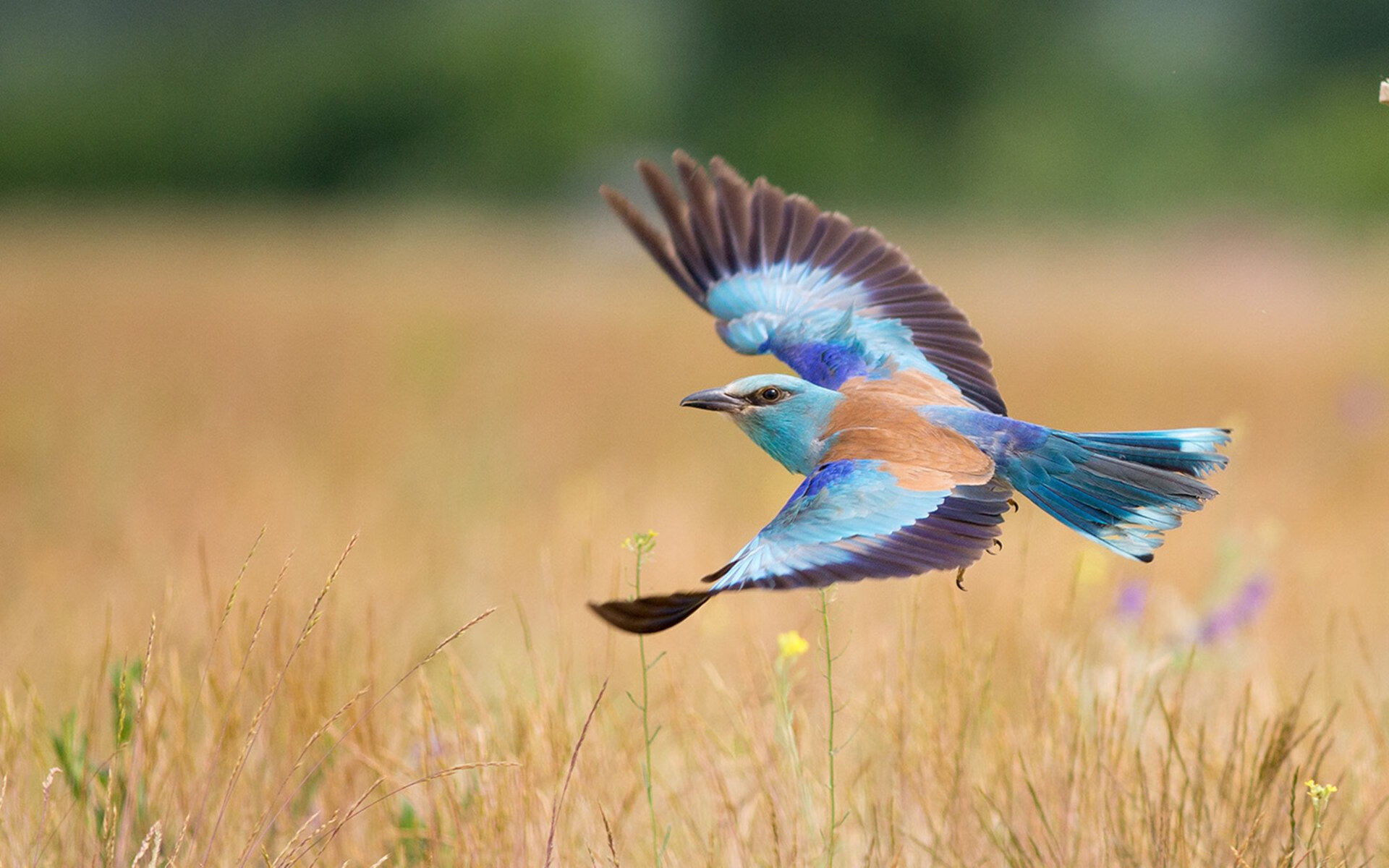 传说之夜，当詹姆斯身披76人战袍末节接管对阵猛龙之战