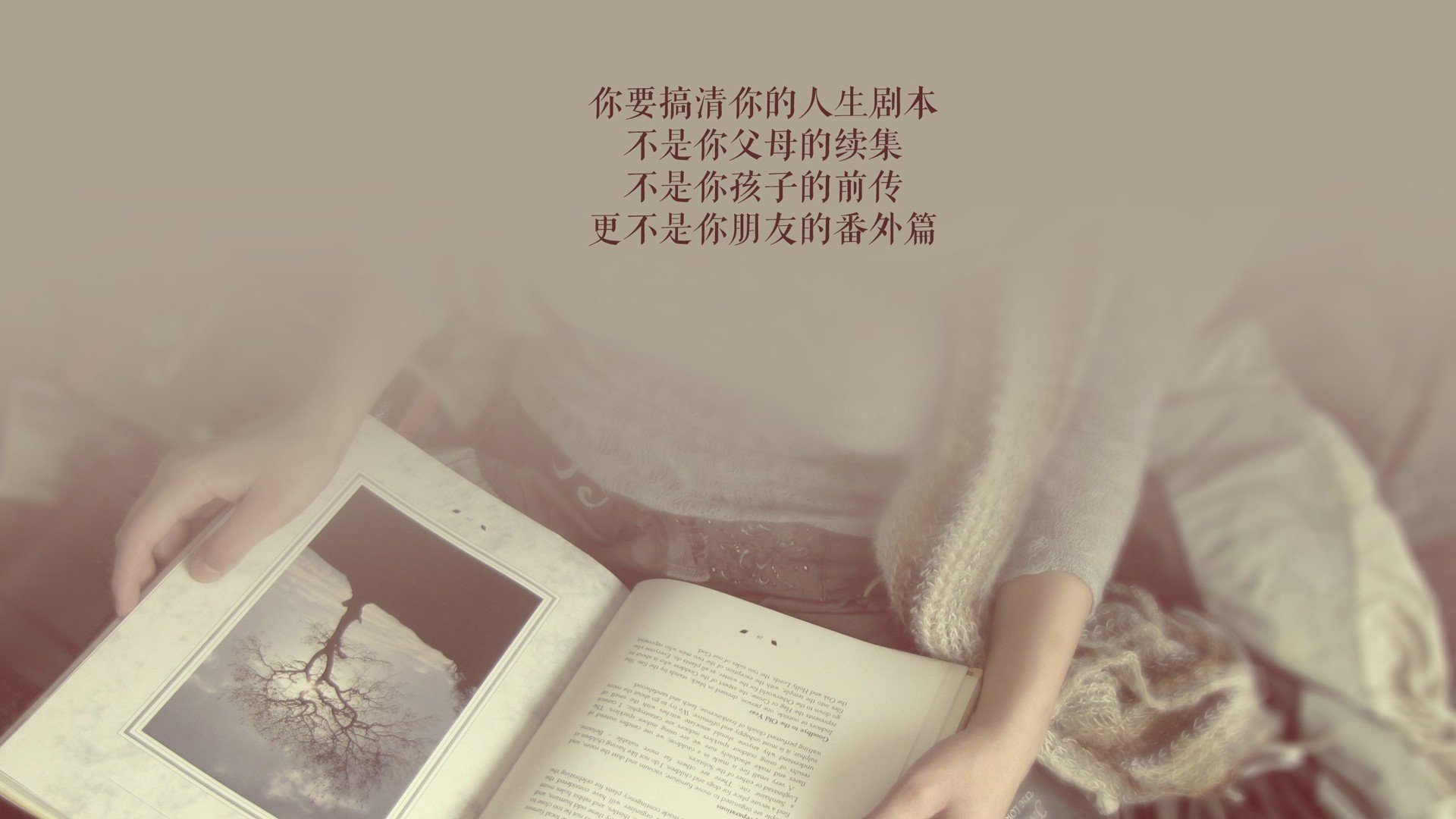 多特蒙德的凛冬复仇，2026世界杯，比利时的钢铁防线与波兰的反击利刃