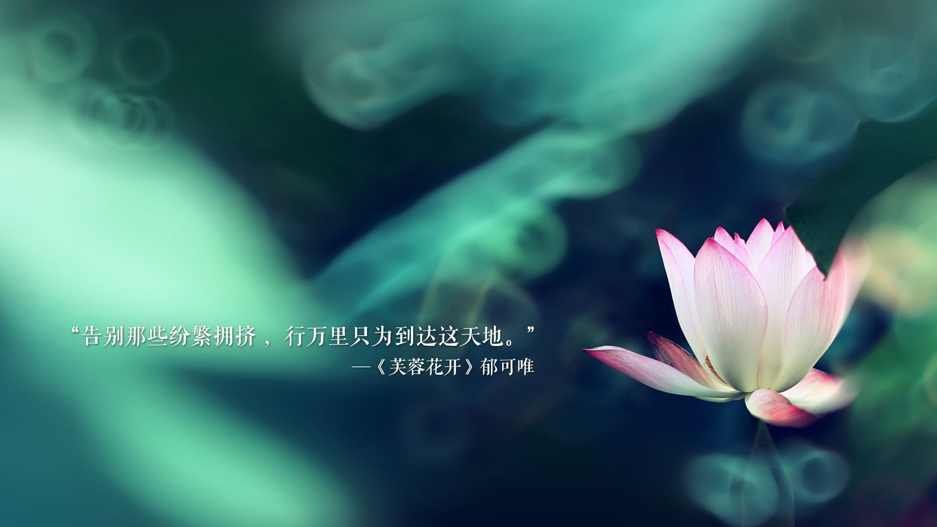 闪电风暴袭基多，波兰铁骑在2026世界杯B组用一场大胜宣告王者归来