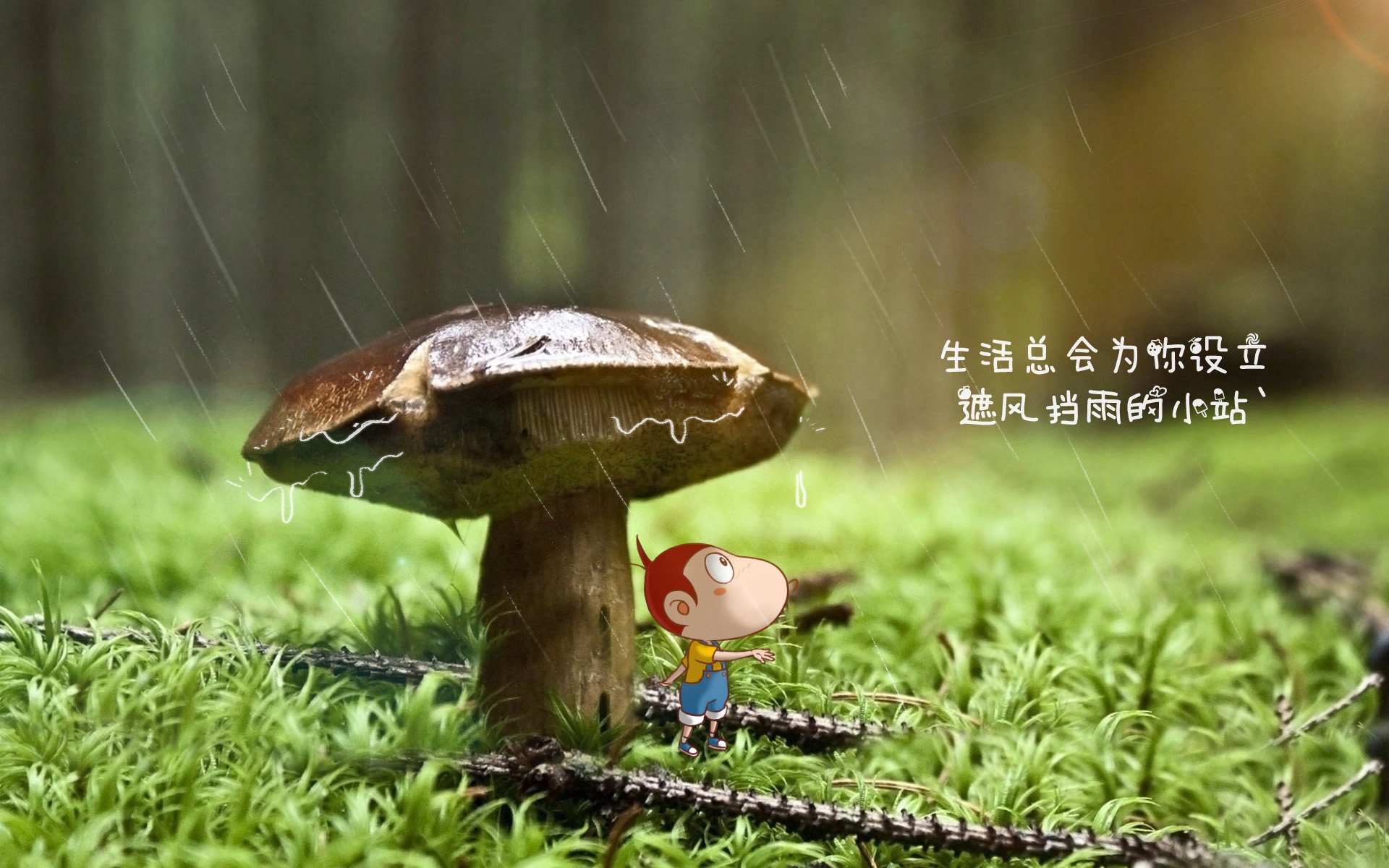 布加勒斯特的黄昏,库尔图瓦封神之夜,葡萄牙风暴席卷E组
