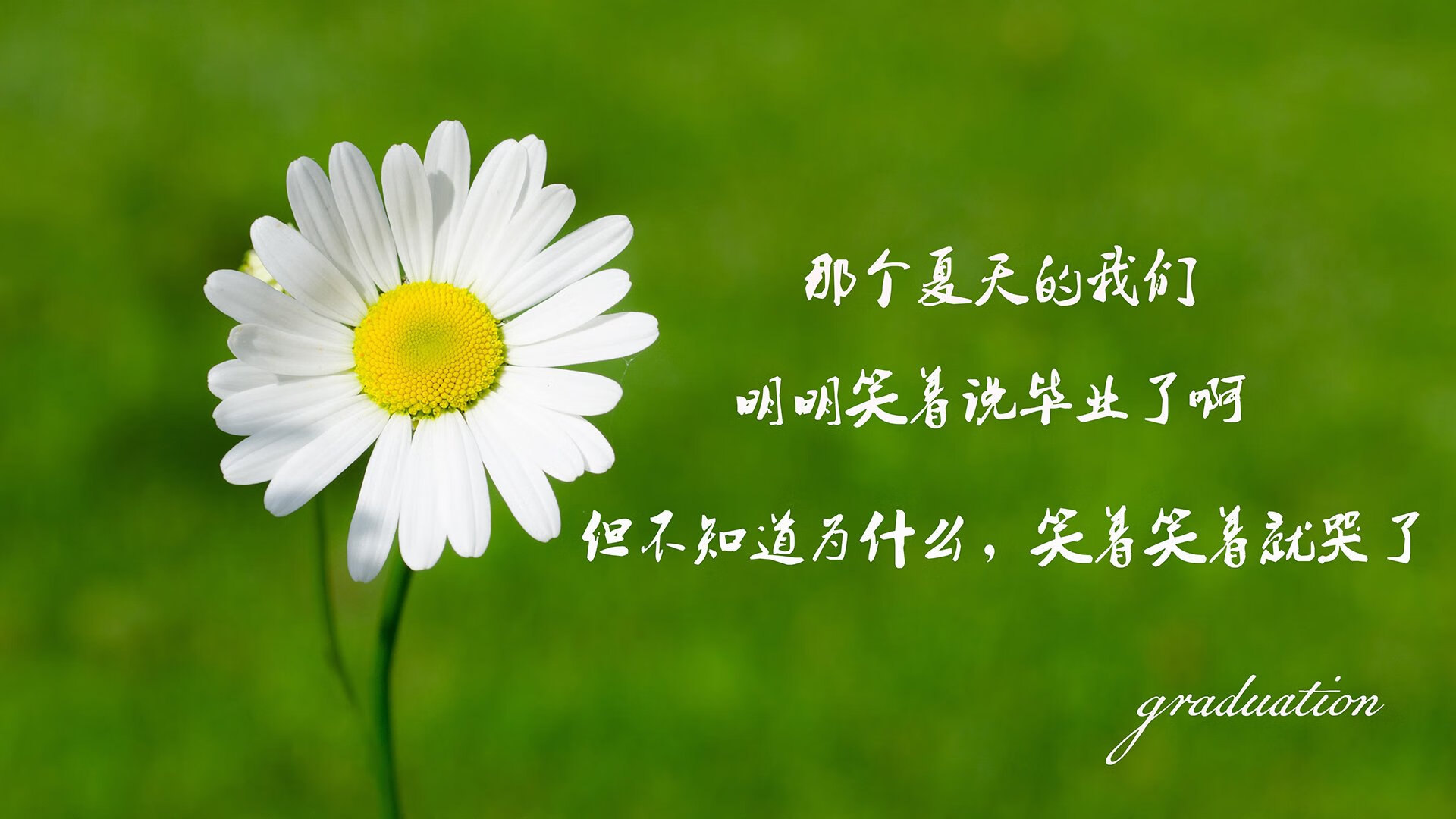 宿命对决,2026世界杯复仇之战,智利横扫秘鲁,塔雷米闪耀全场